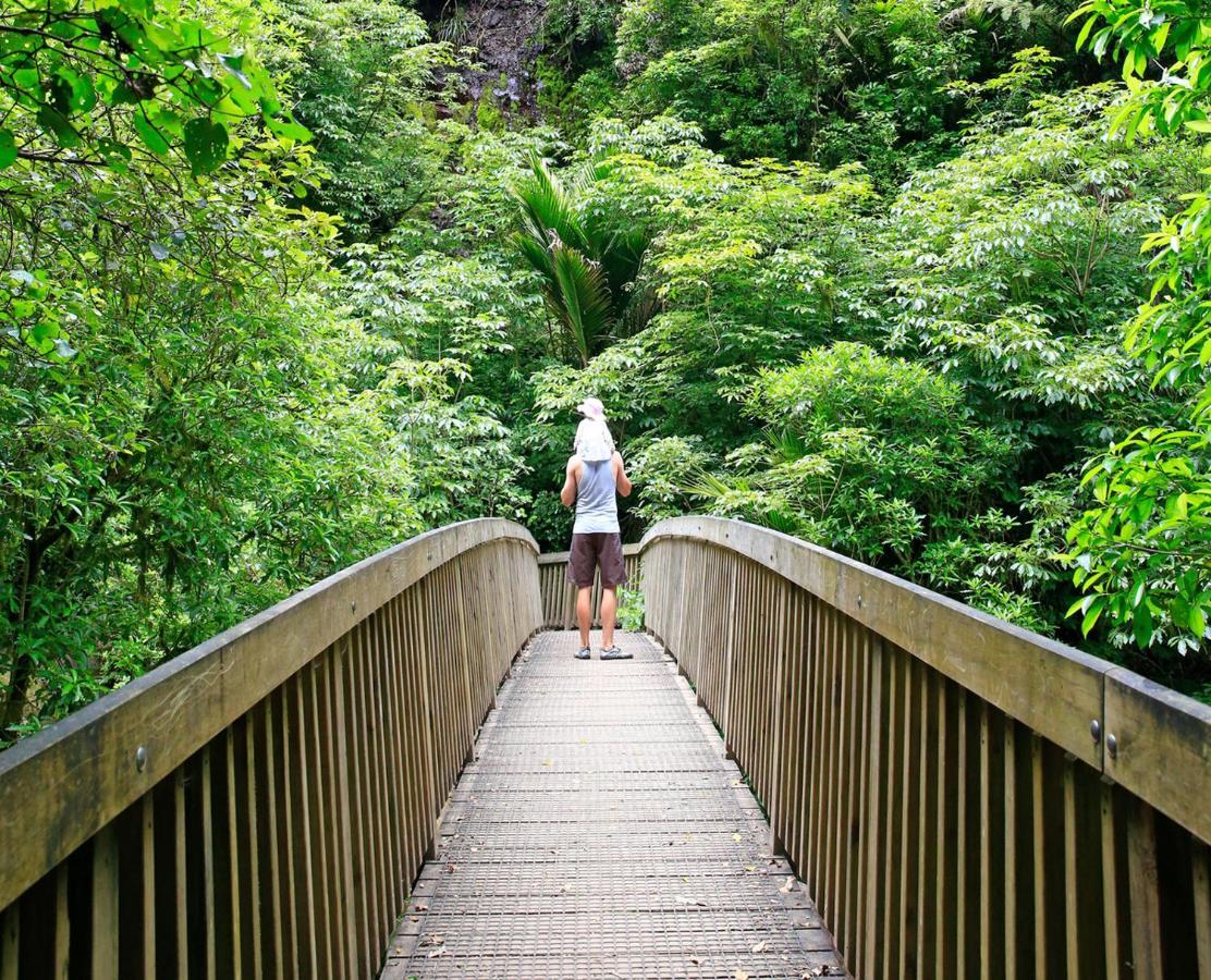 Treghan Luxury Lodge Kerikeri Bagian luar foto