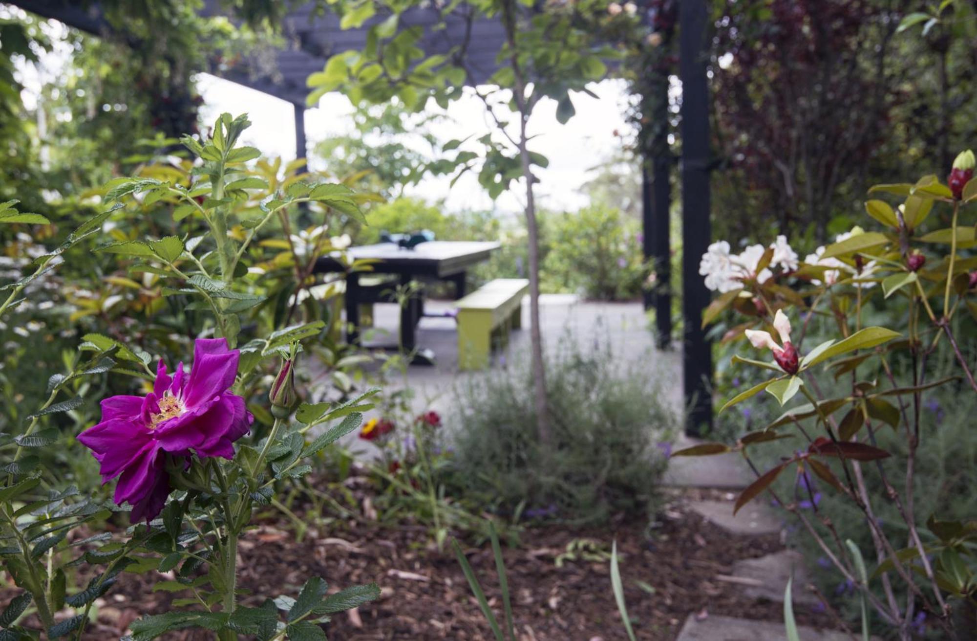 Treghan Luxury Lodge Kerikeri Bagian luar foto