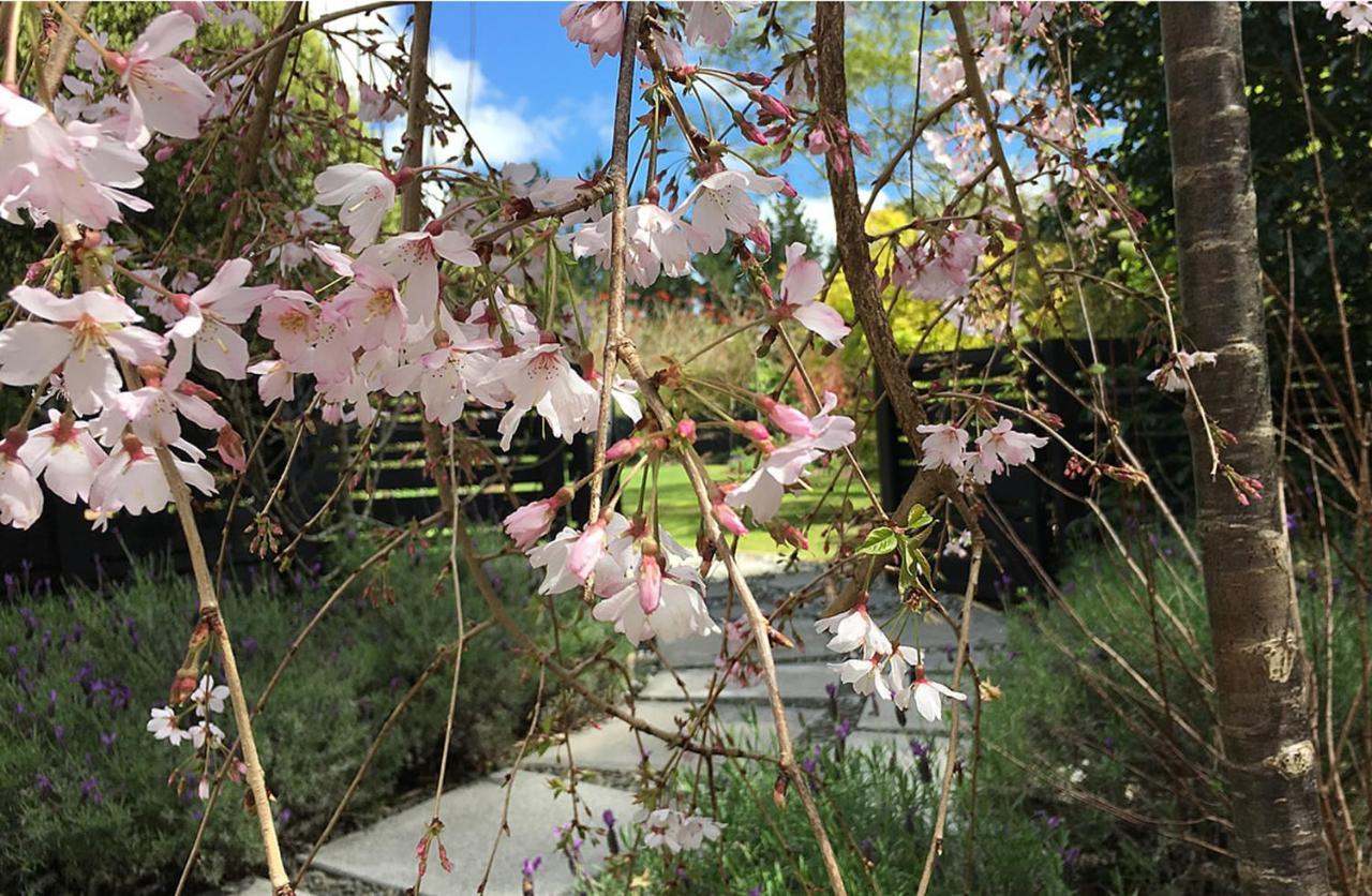 Treghan Luxury Lodge Kerikeri Bagian luar foto